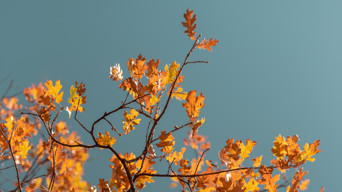 Be in harmony with yourself